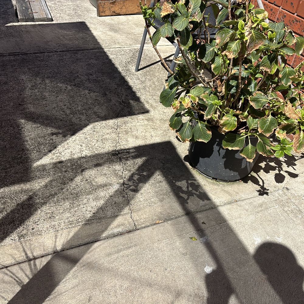 Moderate cracking, likely from too few control joints for the concrete to move, found during a building and pest inspection in Epping