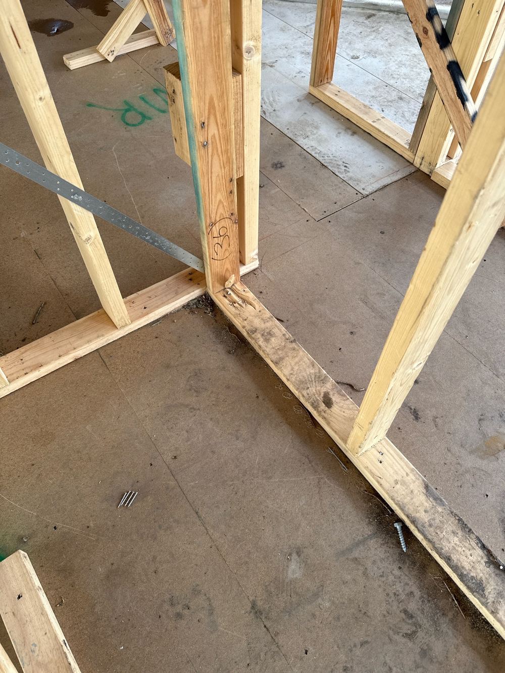 Damaged bottom plate sections needing replacing or laminating to keep the frame sound, Wollert