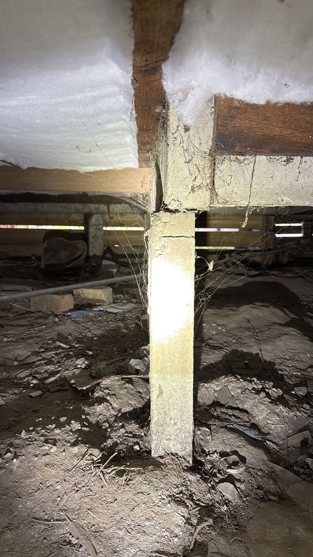 Subfloor stump moved off its bearing point, so it no longer properly supports the floor, found during a pre-purchase inspection in Preston