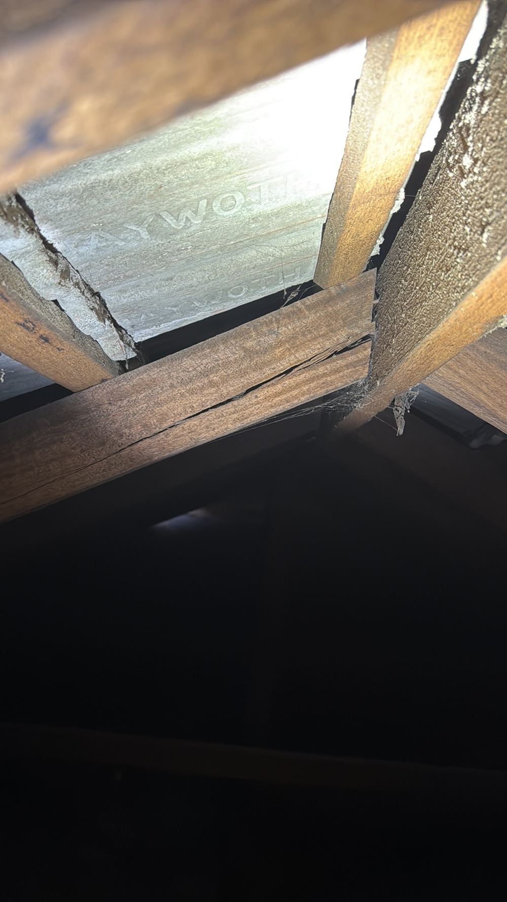Signs of structural damage in the ceiling framing needing engineer assessment, found during a pre-purchase inspection in Preston