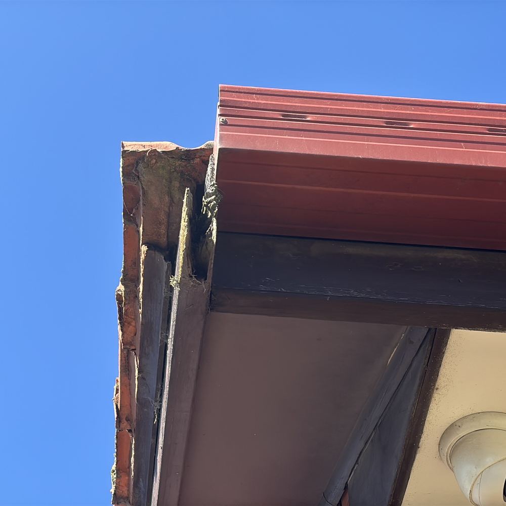 Rust, rot and decay noted to parts of the external wall, found during a building and pest inspection in Epping